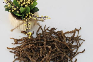 劍川沙溪段記干貨 地參統貨與特色農副產品